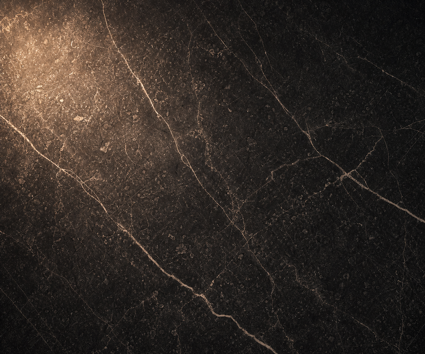 Professional close-up of natural dark stone